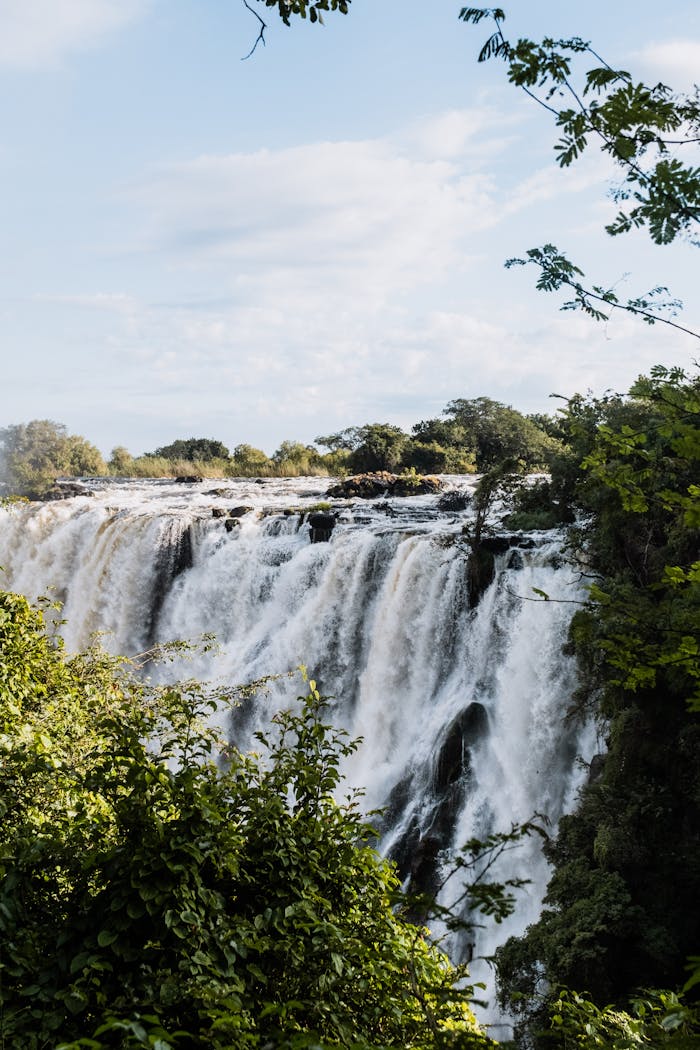 Explore the breathtaking view of a powerful waterfall surrounded by lush green foliage under a clear summer sky.