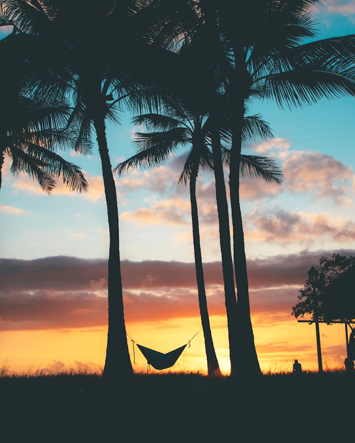 Beautiful Hawaiian sunset with palm trees and a hammock silhouette, creating a relaxing tropical scene.